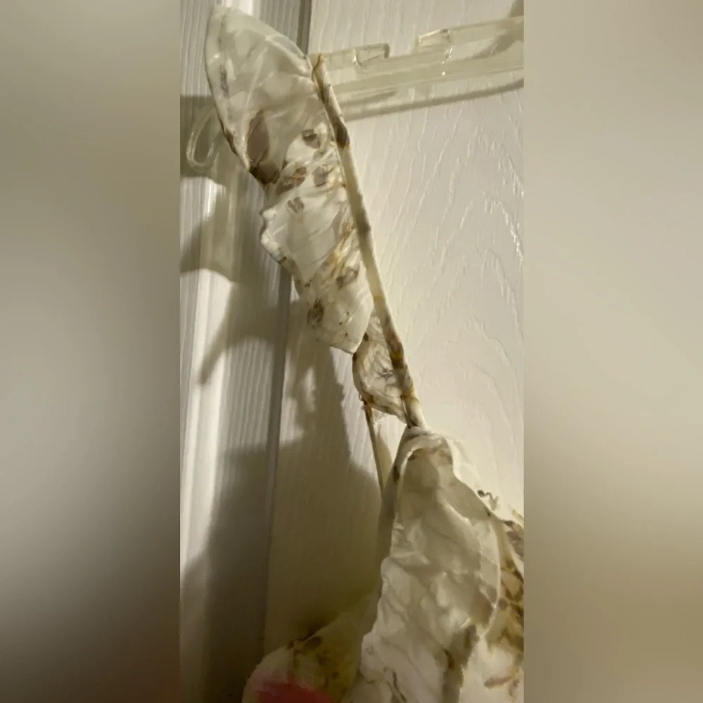 NWT.. WOMENS AND NOW THIS FLORAL RUFFLE DRESS - Picture 11 of 14